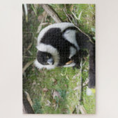 Black and White Ruffed Lemur: Wildlife Photography Legpuzzel (Verticaal)