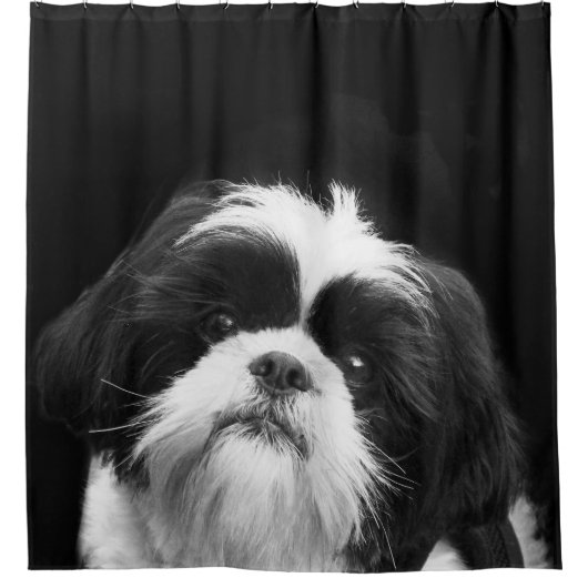 Black and White Shih Tzu Dog Shower Curtain Douchegordijn (Voorkant)