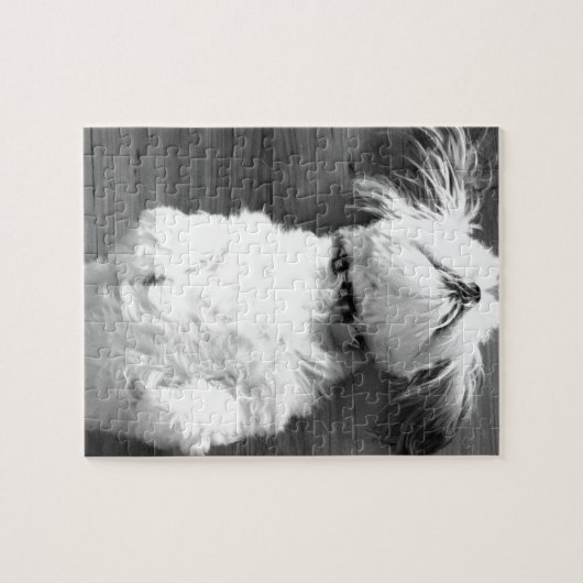 Black and White Shih-Tzu Puppy Legpuzzel (Horizontaal)
