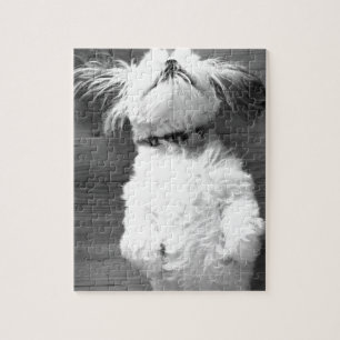 Black and White Shih-Tzu Puppy Legpuzzel