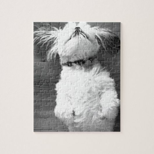Black and White Shih-Tzu Puppy Legpuzzel (Verticaal)