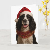 Black and white Springer Spaniel Christmas card Kaart (Gele Bloem)