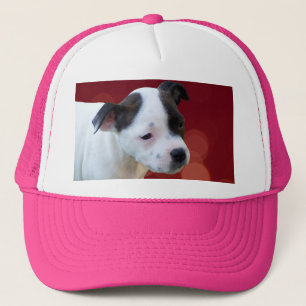 Black and White Staffy Puppy, Trucker Pet