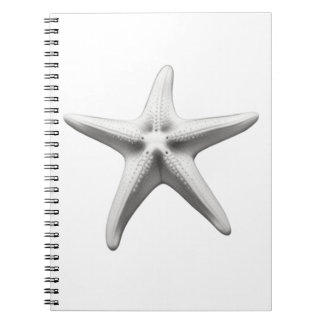 Black and White Starfish Notitieboek