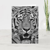 Black and White Tiger Face Kaart (Voorkant)