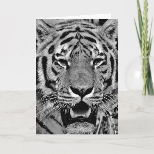 Black and White Tiger Face Kaart (Voorkant)