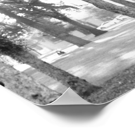 Black and White tree Poster (Hoek)