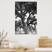 Black and White tree Poster (Keuken)