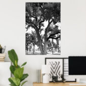 Black and White tree Poster (Thuiskantoor)