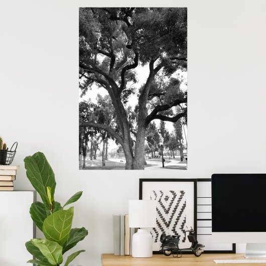 Black and White tree Poster (Thuiskantoor)