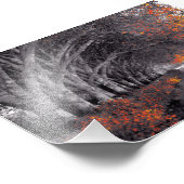 Black and White Trees. Reflection in a lake. Foto Afdruk (Hoek)