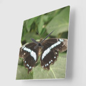 Black and White Tropical Butterfly Wall Clock Vierkante Klok (Hoek)