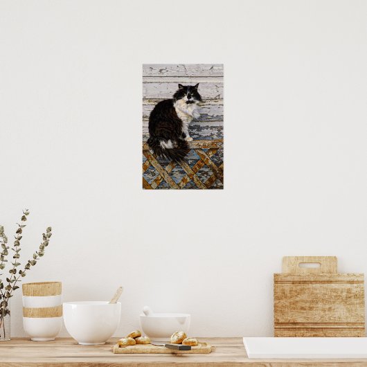 Black and White Tuxedo Tom Cat Old Fence Poster (Keuken)