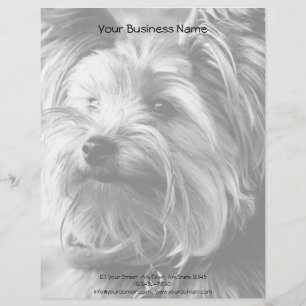 Black and White Yorkshire Terrier Yorkie Portrait Briefhoofd Ontwerp