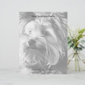 Black and White Yorkshire Terrier Yorkie Portrait Briefhoofd Ontwerp (Staand voorkant)