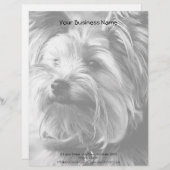 Black and White Yorkshire Terrier Yorkie Portrait Briefhoofd Ontwerp (Voorkant / Achterkant)