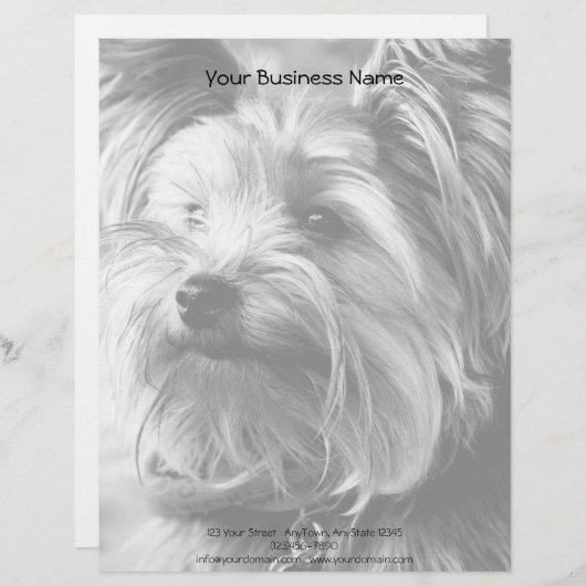 Black and White Yorkshire Terrier Yorkie Portrait Briefhoofd Ontwerp (Voorkant / Achterkant)