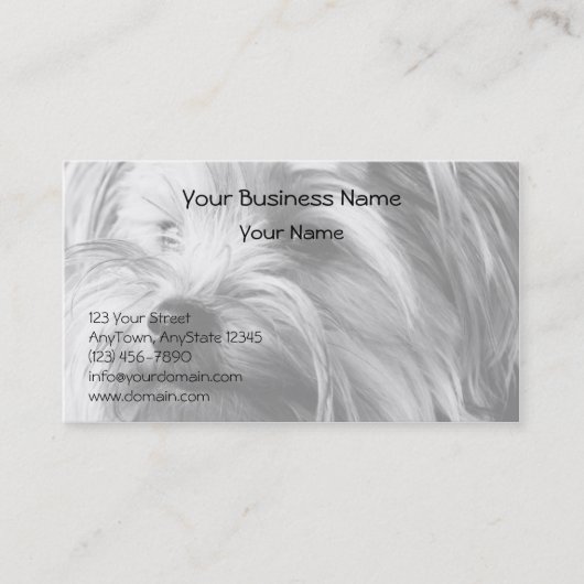 Black and White Yorkshire Terrier Yorkie Portrait Visitekaartje (Voorkant)
