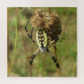 Black and Yellow Garden Spider Legpuzzel (Verticaal)