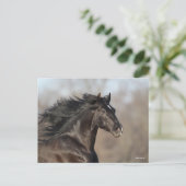 Black Andalucian Headshot Mane Fans Briefkaart (Staand voorkant)