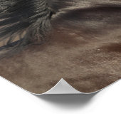 Black Andalucian Headshot Mane Fans Poster (Hoek)