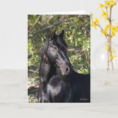 Black Andalucian Horse Standing Headshot Kaart (Gele Bloem)