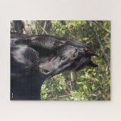 Black Andalucian Horse Standing Headshot Legpuzzel (Horizontaal)
