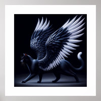 Black Angel Cat filmische opname