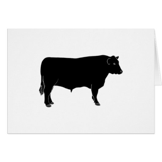 Black Angus Bull (Voorkant Horizontaal)