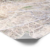 Black Angus Bull Poster (Hoek)