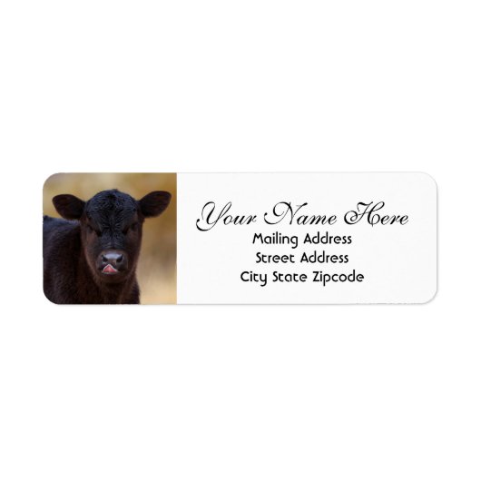 Black Angus Calf Return-adres Etiket (Voorkant)