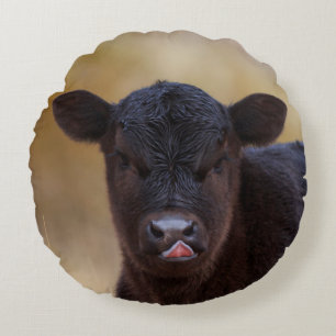 Black Angus Calf Rond Kussen