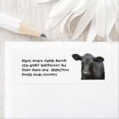 Black Angus Cattle Boerderij of Ranch Sticker (Insitu)