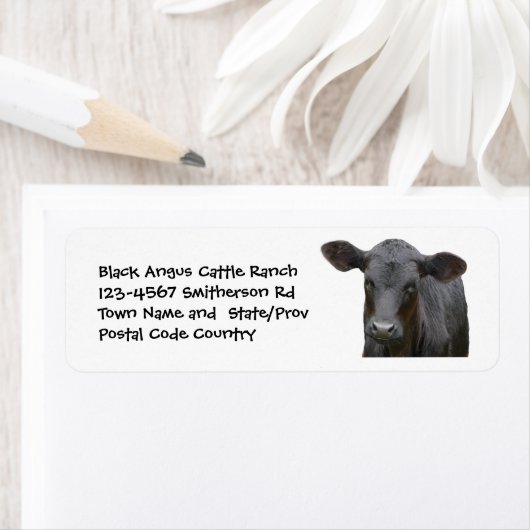 Black Angus Cattle Boerderij of Ranch Sticker (Insitu)