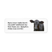 Black Angus Cattle Boerderij of Ranch Sticker (Voorkant)