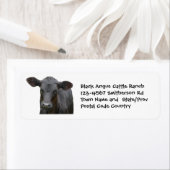 Black Angus Cattle Boerderij of Ranch Sticker (Insitu)