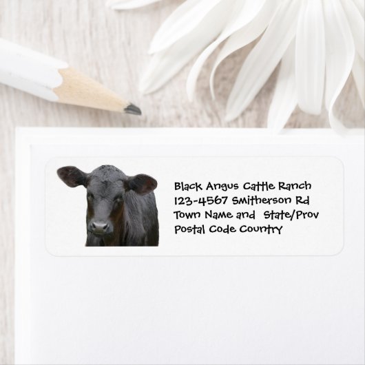 Black Angus Cattle Boerderij of Ranch Sticker (Insitu)