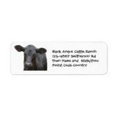 Black Angus Cattle Boerderij of Ranch Sticker (Voorkant)
