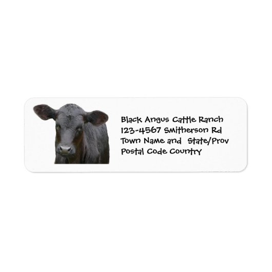 Black Angus Cattle Boerderij of Ranch Sticker (Voorkant)