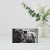 Black Angus Cattle Photo for Beef Ranch of Boerder Visitekaartje (Staand voorkant)