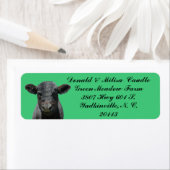 BLACK ANGUS ETIKET (Insitu)