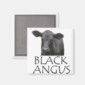 Black Angus Koe Magneet (Voorkant / Achterkant)