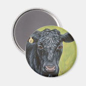 Black Angus Koe Magnet (Voorkant / Achterkant)