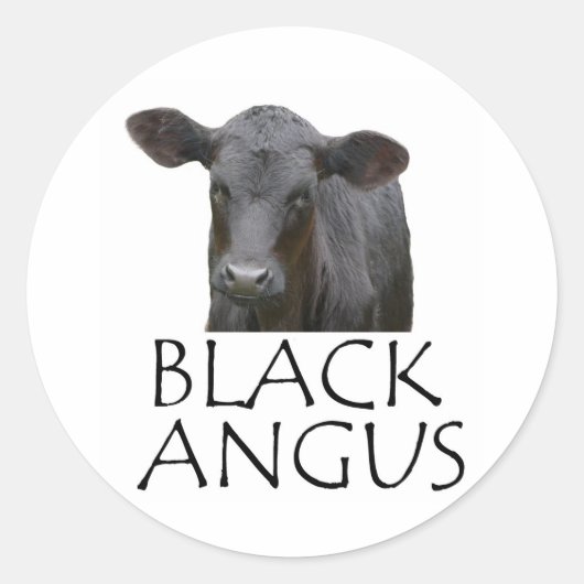 Black Angus Koe Ronde Sticker (Voorkant)