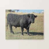 Black Angus op pasture Legpuzzel (Horizontaal)