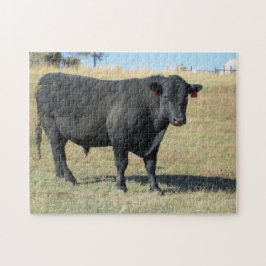Black Angus op pasture Legpuzzel