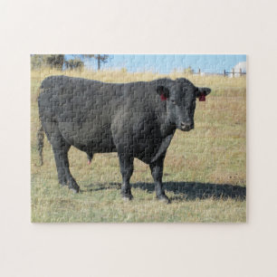 Black Angus op pasture Legpuzzel