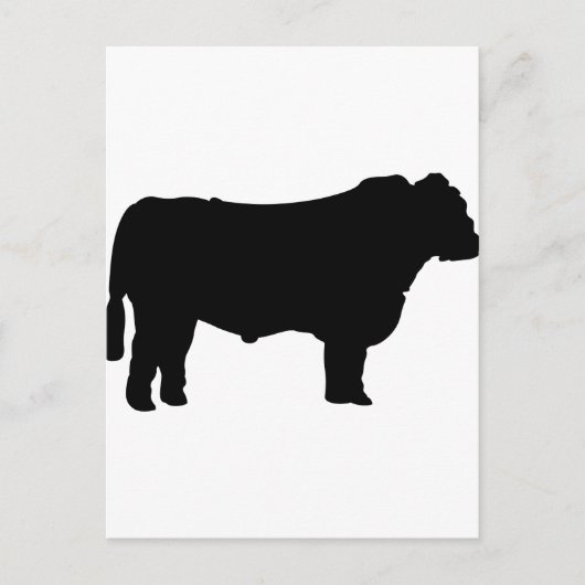 Black Angus Silhouette Briefkaart (Voorkant)