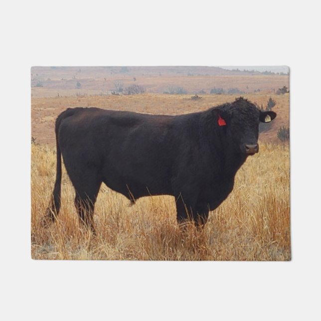 Black Angus Steer Grazing met zijn herd Deurmat (Voorkant)