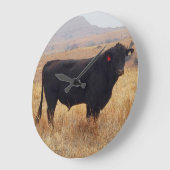 Black Angus Steer Grazing met zijn herd Grote Klok (Hoek)